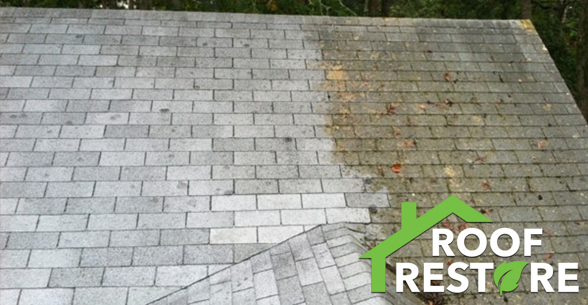 Roof Restore Before and After