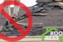 How Does Roof Restoration Help the Planet